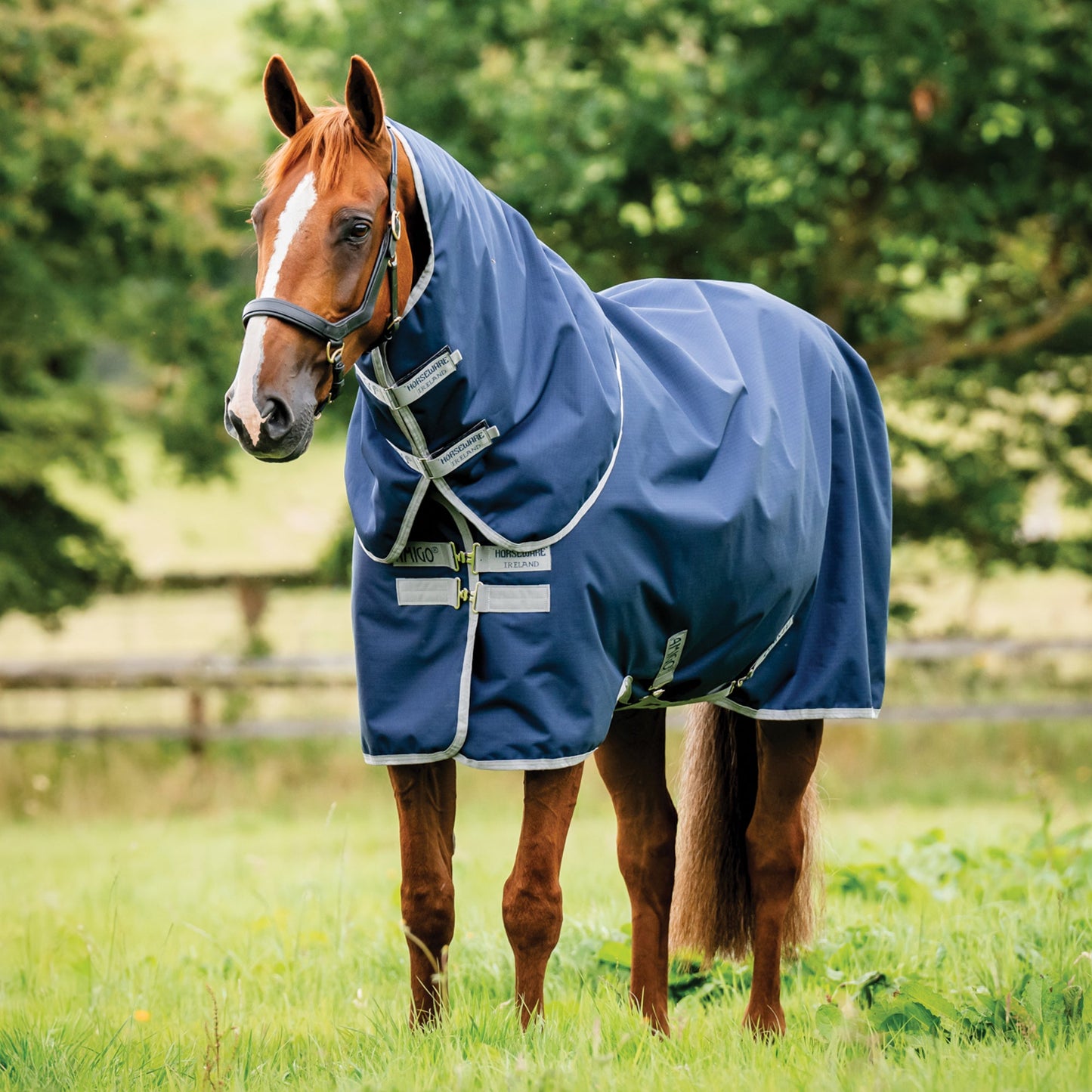 Horseware Ireland Amigo Ripstop 900D Plus Turnout Sheet
