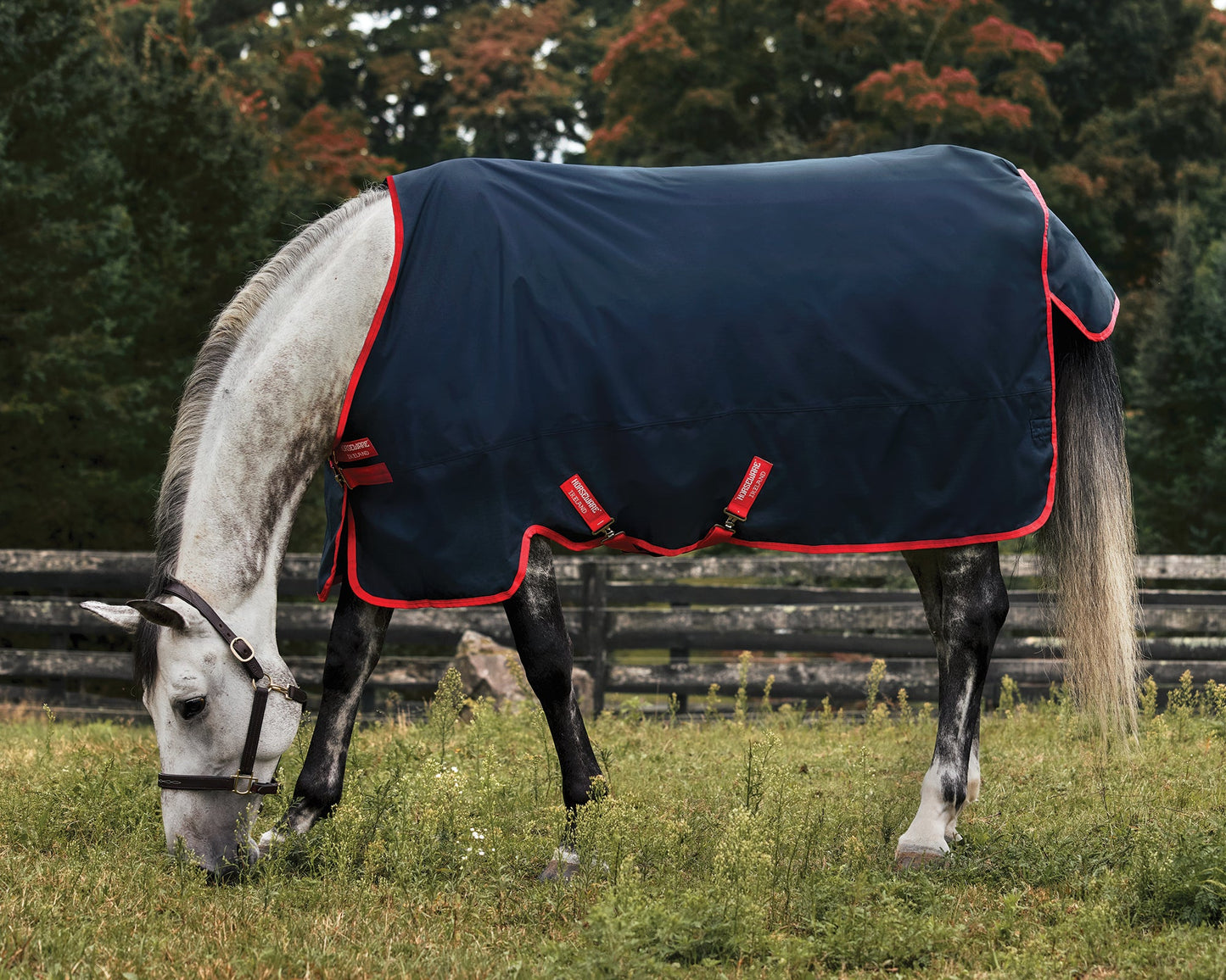Horseware Ireland Exclusive 600D 100 Gram Ripstop Turnout Blanket