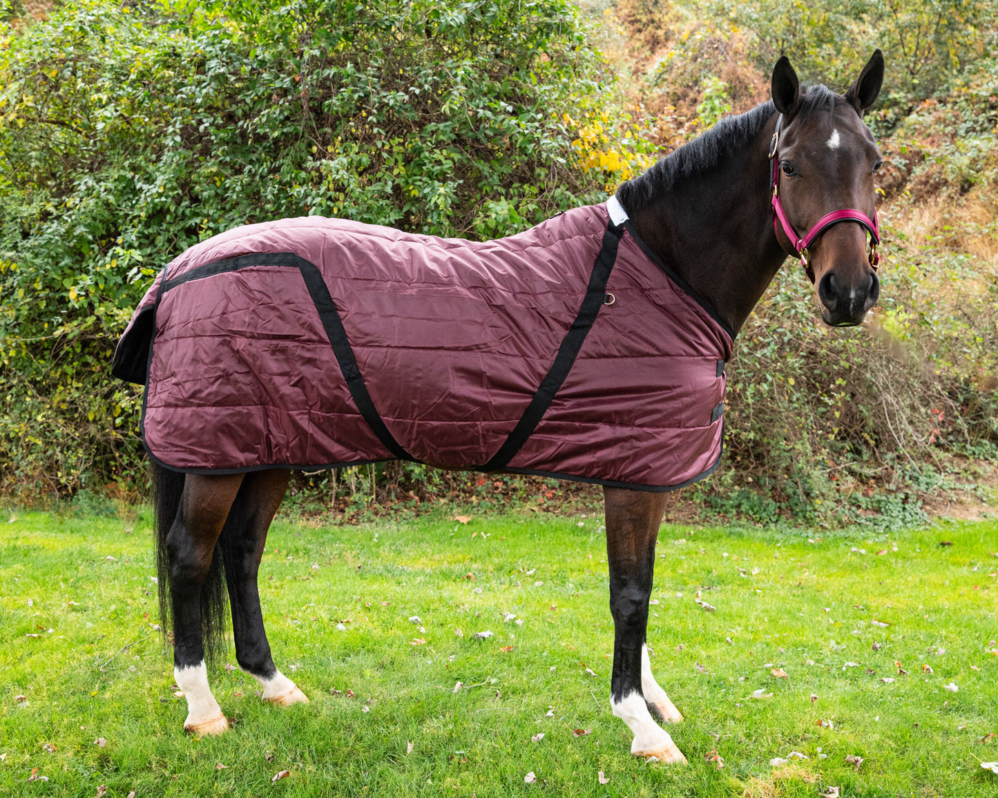 Snuggie Heavyweight Stable Blanket, Large