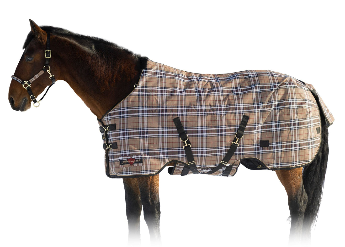 Kensington SuperMesh 300 Gram Heavyweight Turnout Blanket