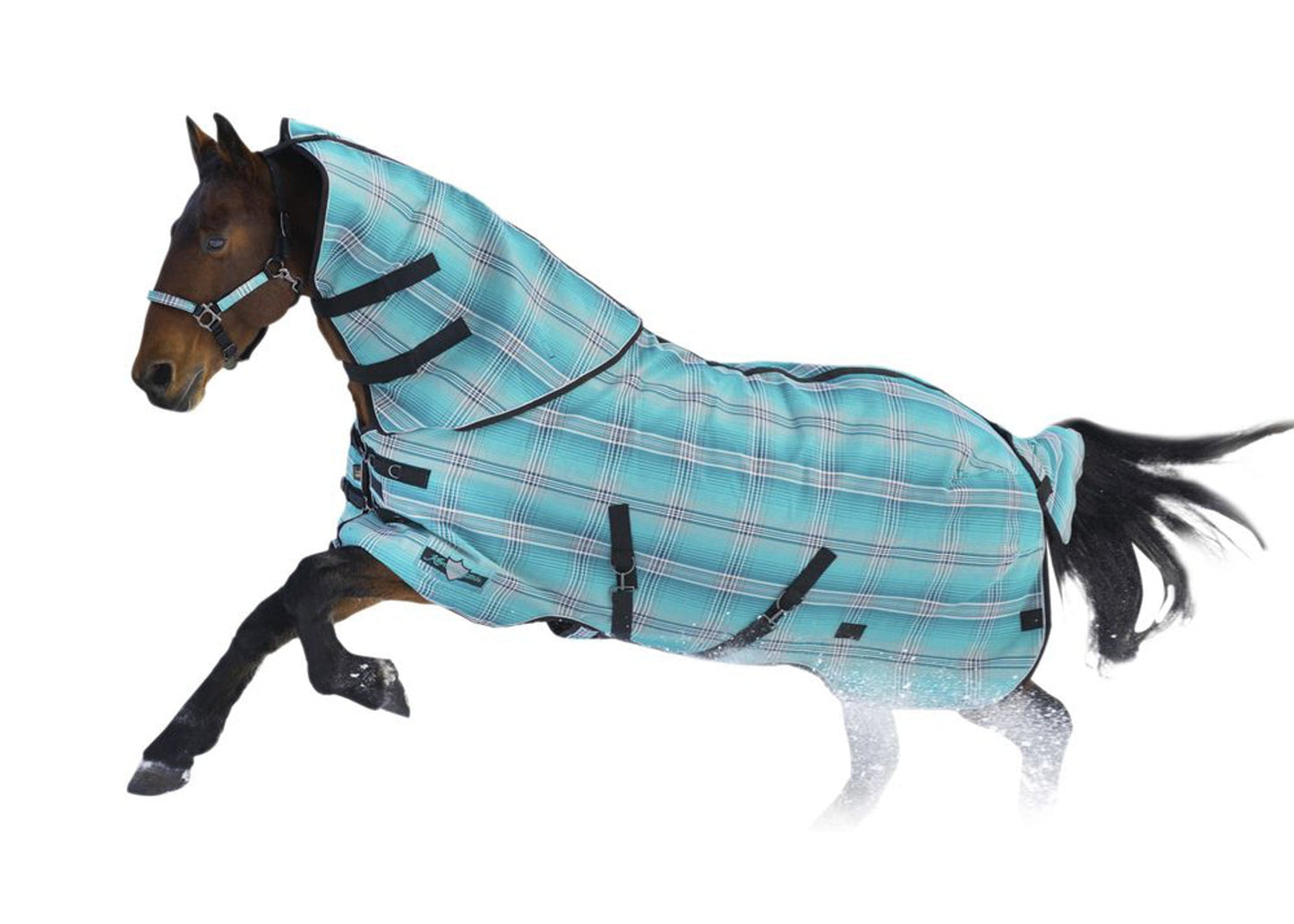 Kensington SuperMesh 300 Gram Heavyweight Turnout Blanket