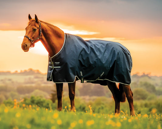 Horseware Ireland Amigo Ripstop 900D 100 Gram Standard Neck Turnout