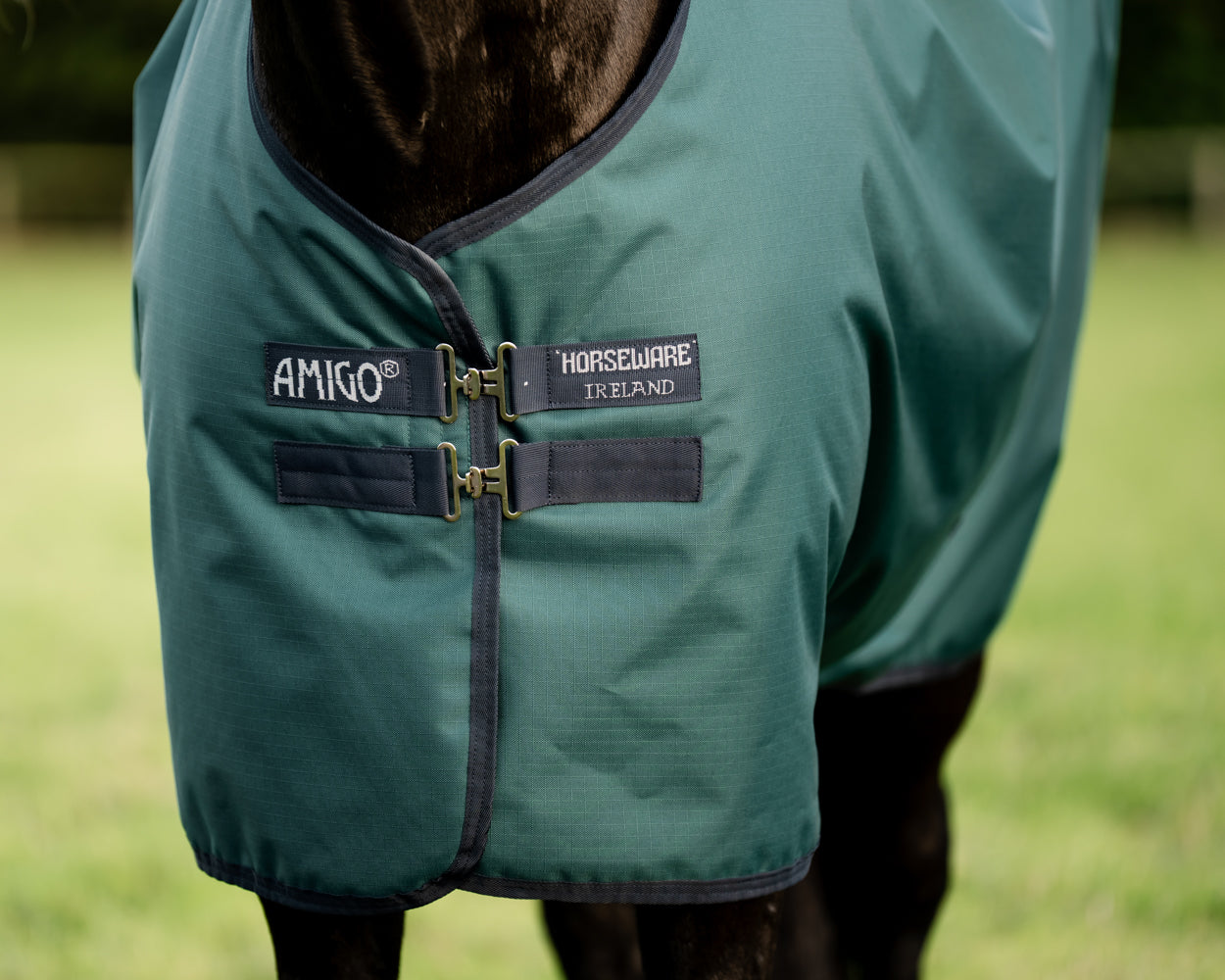 Horseware Ireland Amigo Ripstop 900D 200 Gram Standard Neck Turnout–Seasonal Color