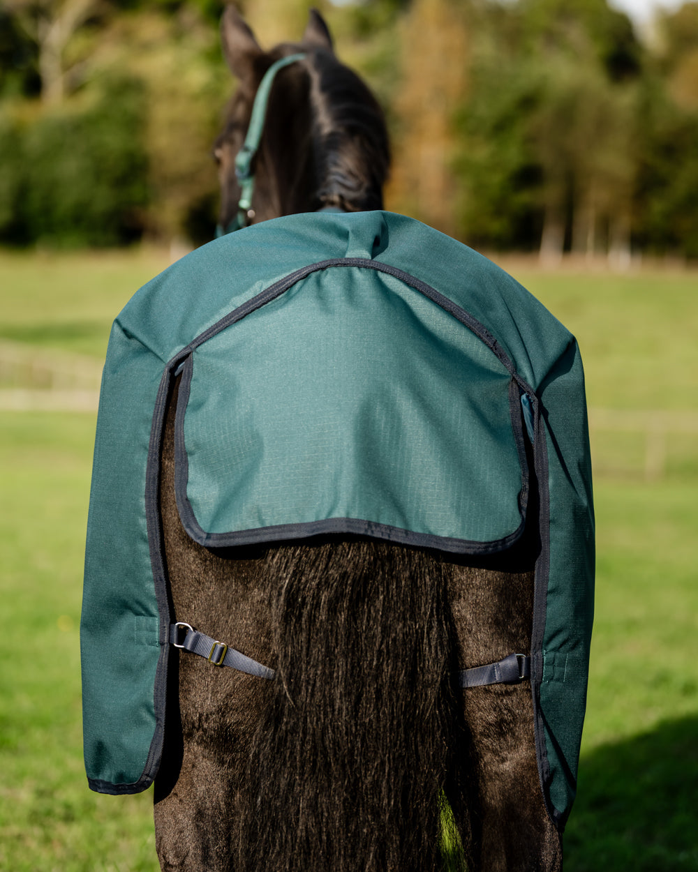 Horseware Ireland Amigo Ripstop 900D 100 Gram Standard Neck Turnout