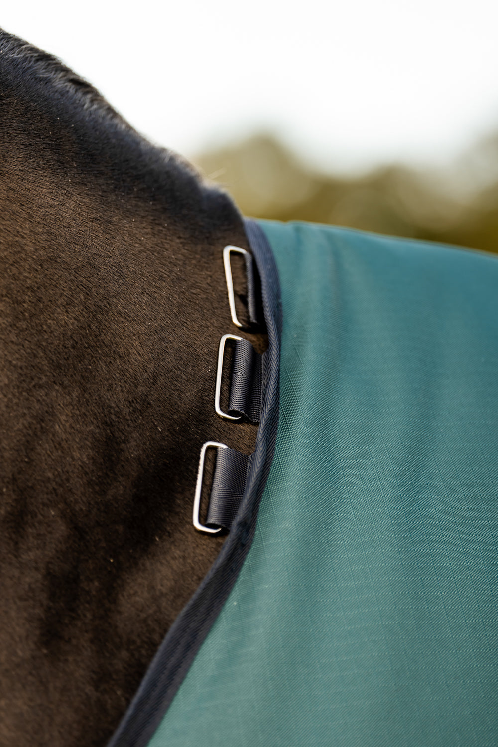 Horseware Ireland Amigo Ripstop 900D 200 Gram Standard Neck Pony Turnout–Seasonal Color