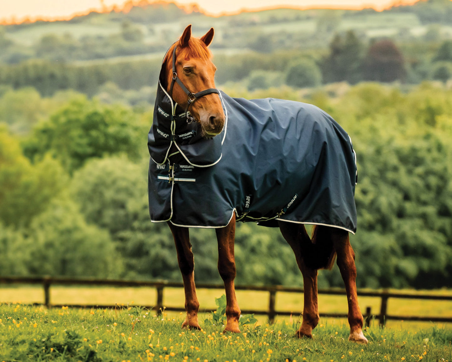 Horseware Ireland Amigo Ripstop 900D Plus Pony Turnout Sheet