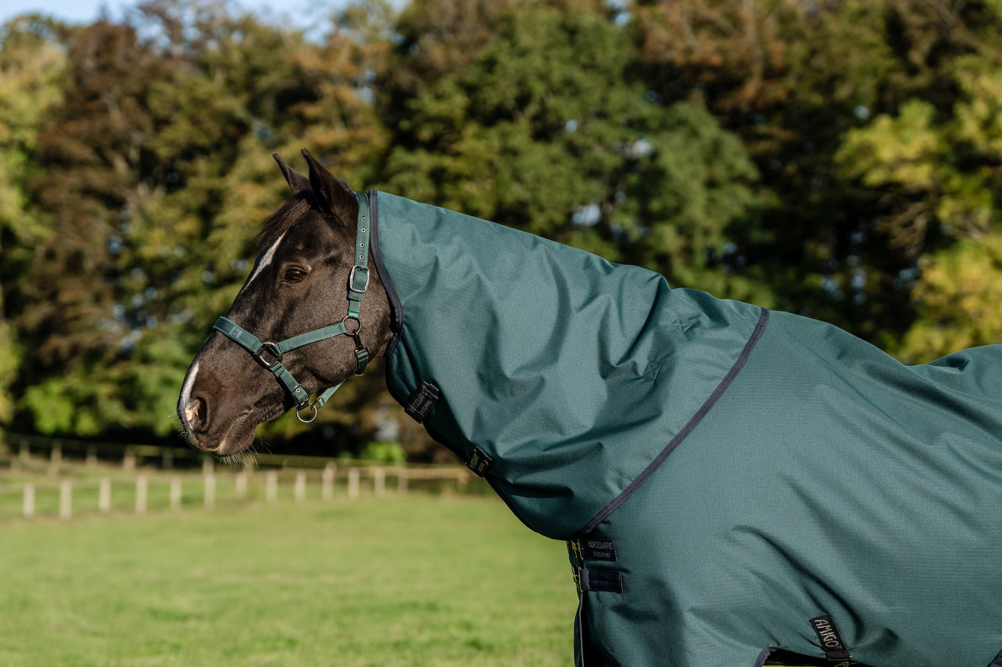 Horseware Ireland Amigo Ripstop 900D Plus Pony Turnout Sheet