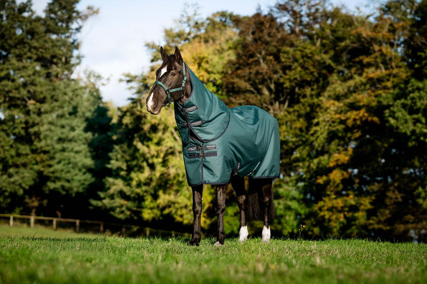 Horseware Ireland Amigo Ripstop 900D 200 Grams Plus Pony Turnout