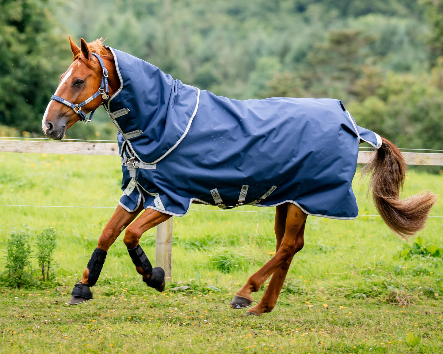 Horseware Ireland Amigo 1200D Plus Turnout 250 Gram