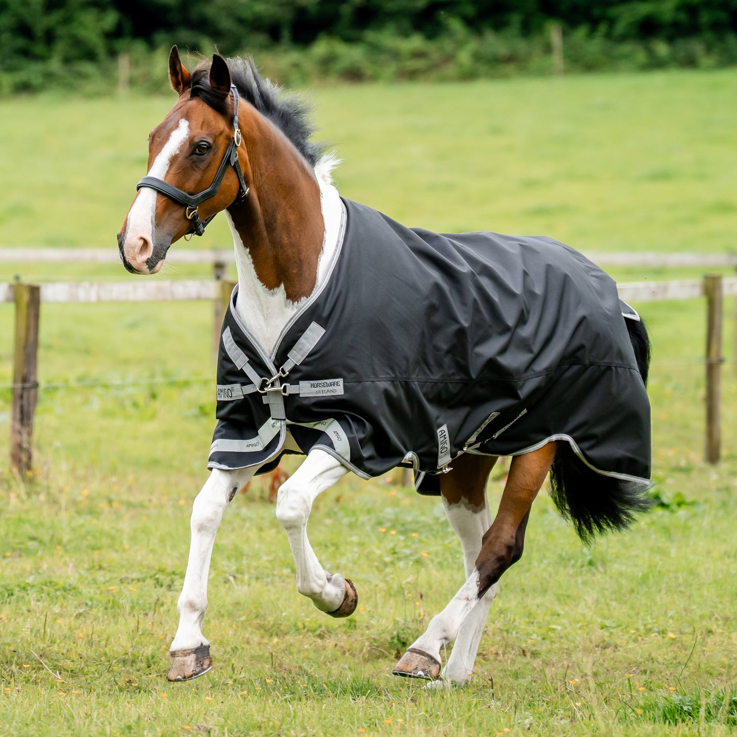 Horseware Ireland Amigo 1200D Plus Turnout 250 Gram