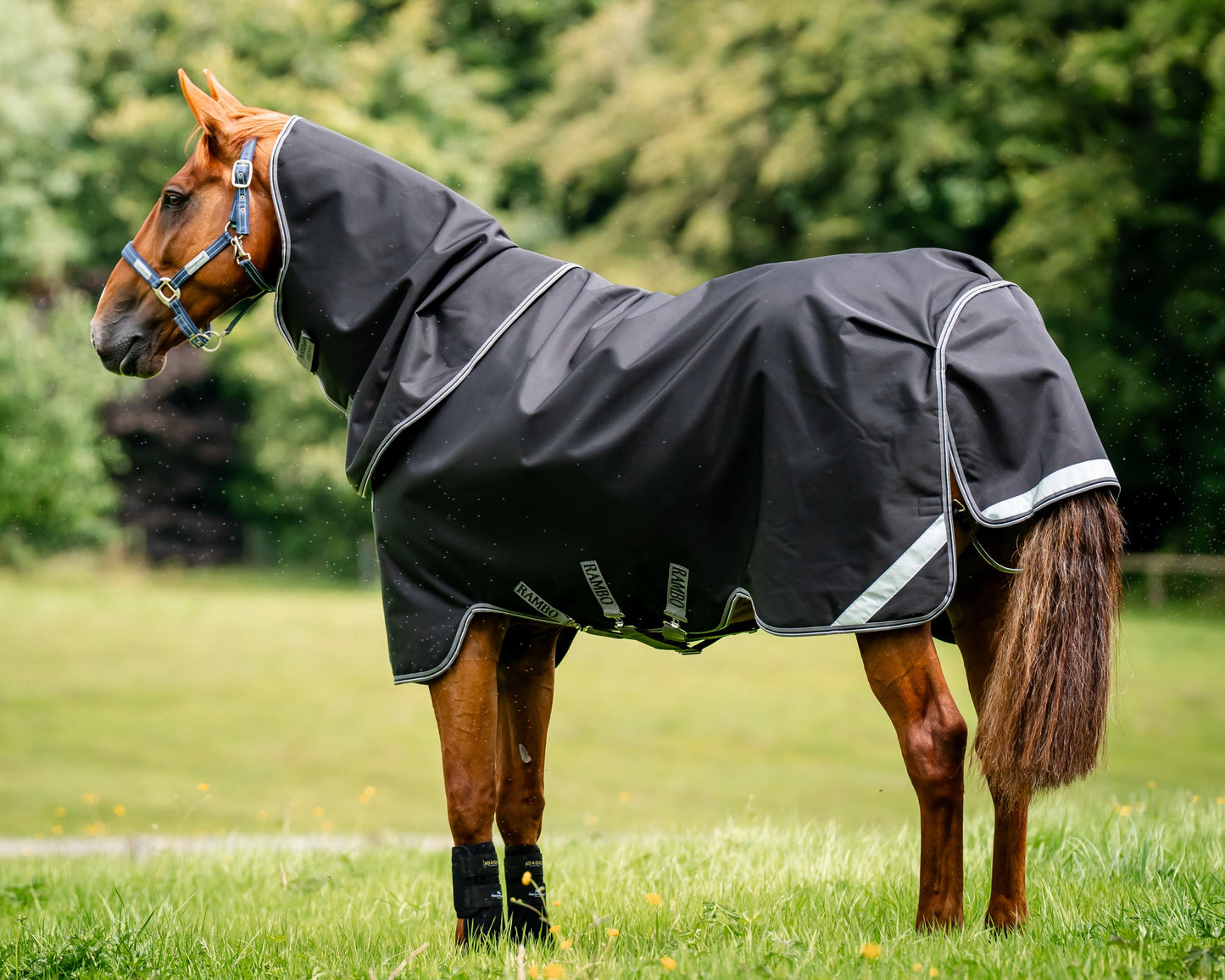 Horseware Ireland Rambo 1680D Vari-Layer Plus Heavy Turnout–450g