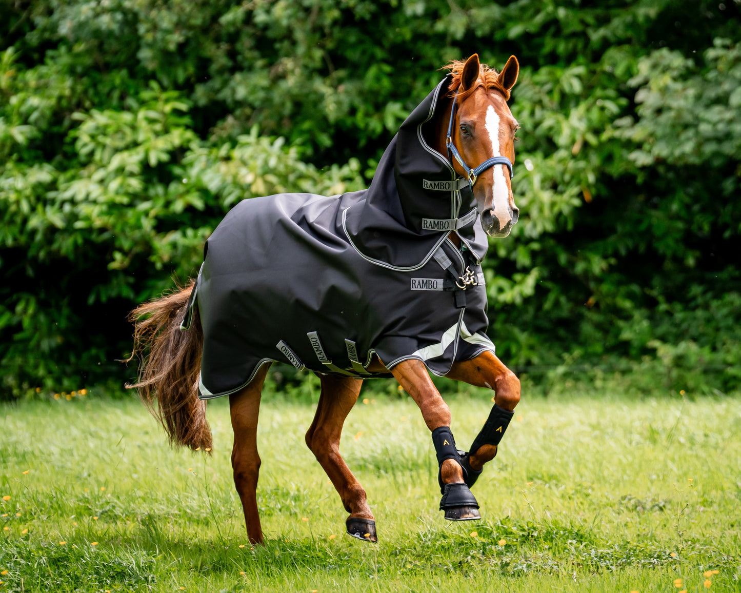 Horseware Ireland Rambo 1680D Vari-Layer Plus Heavy Turnout–450g