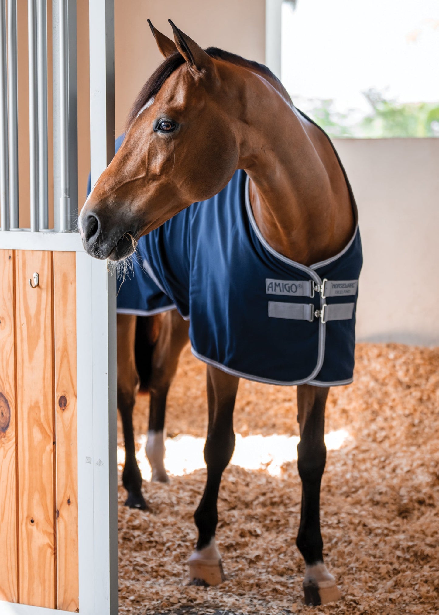 Stable Sheet–Core Color