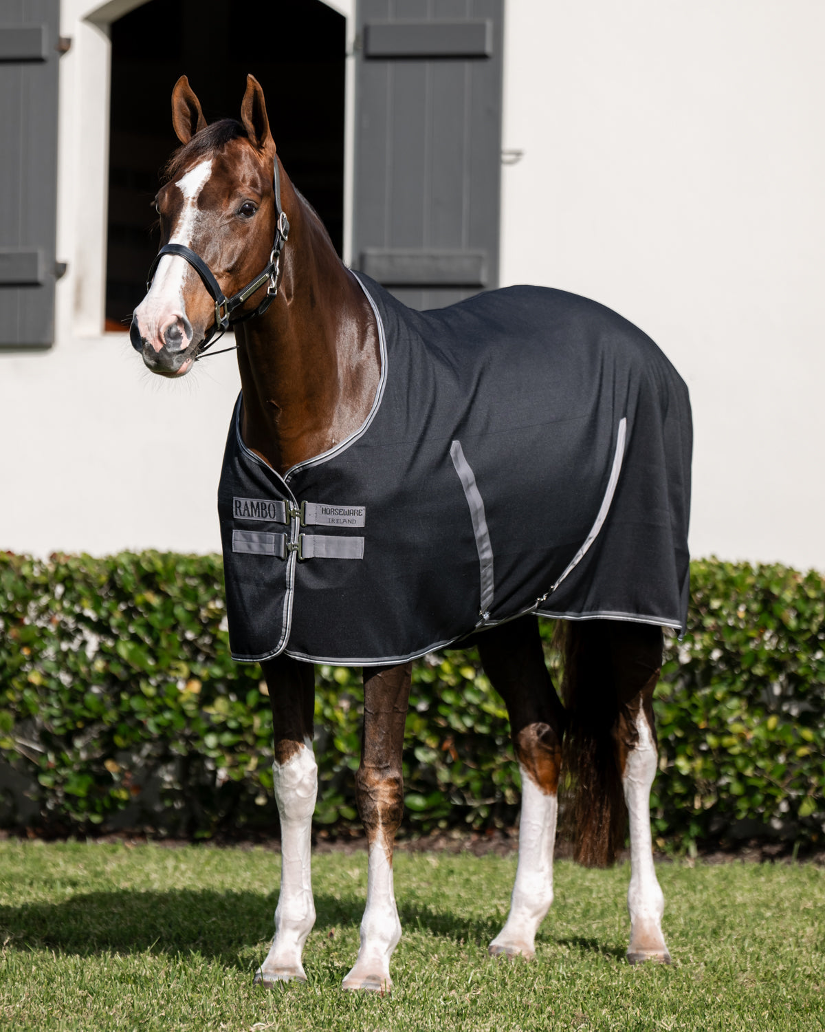 Horseware Ireland Rambo Stable Sheet with Embossed Lining