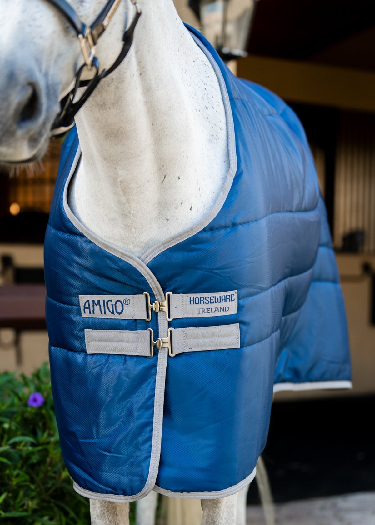 Horseware Ireland Amigo Ripstop Insulator Stable Blanket - 50G