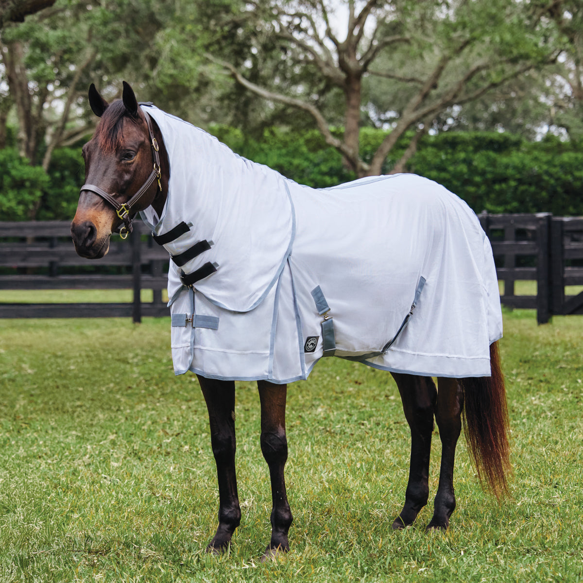 Rider’s International Light Mesh Fly Sheet