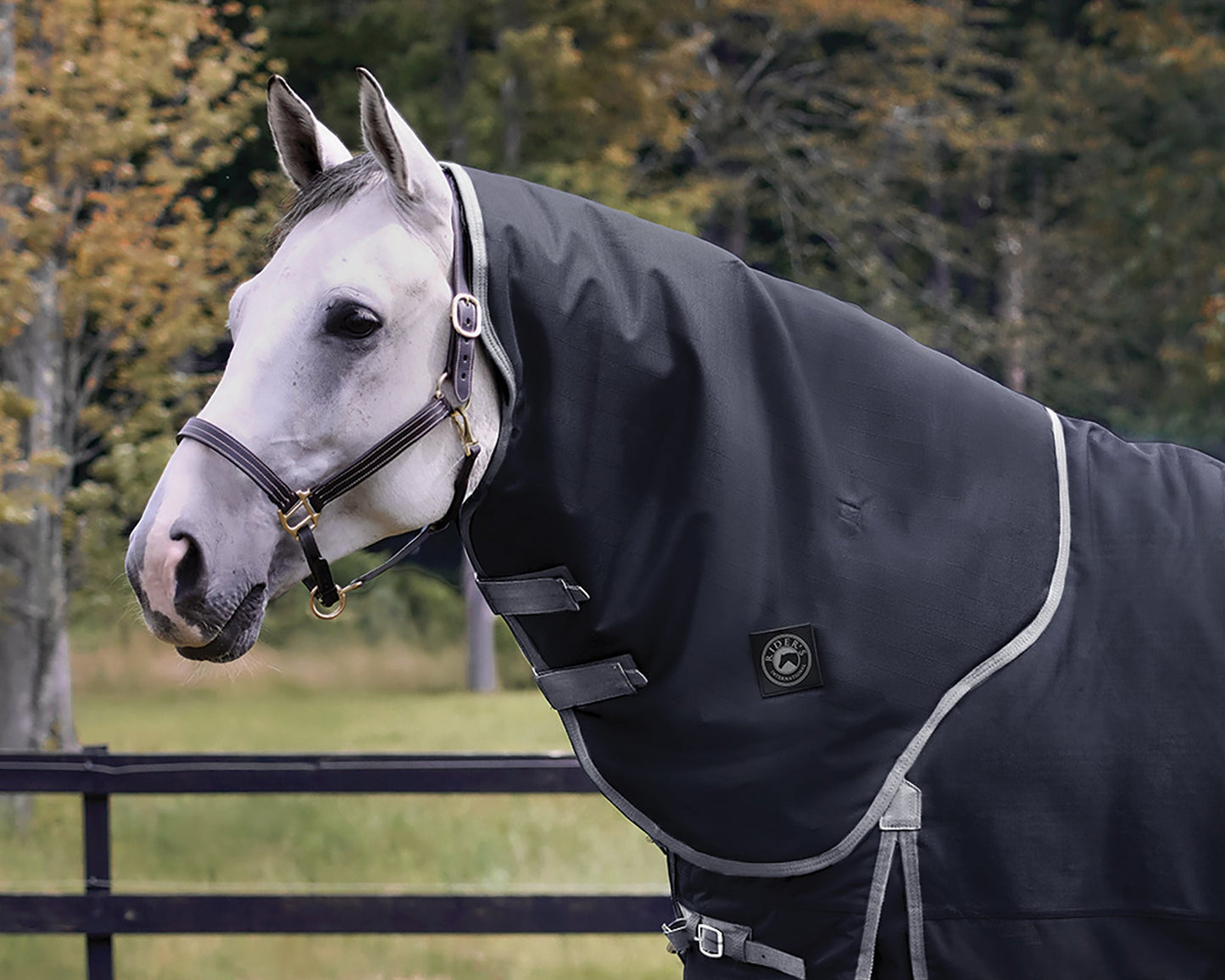 Rider’s International Supreme Hood–200G