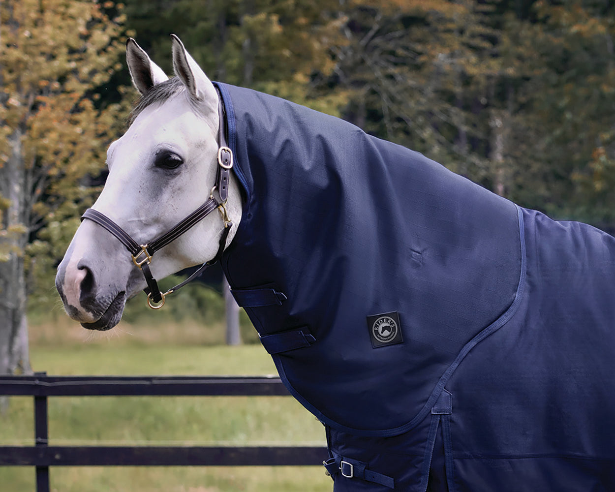 Rider’s International Supreme Hood–200G