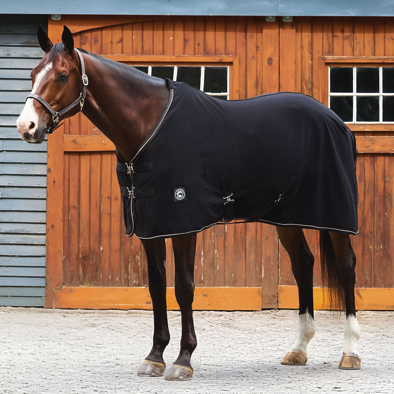 Rider’s International Classic Cooler