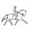 Engraved Breed Logo