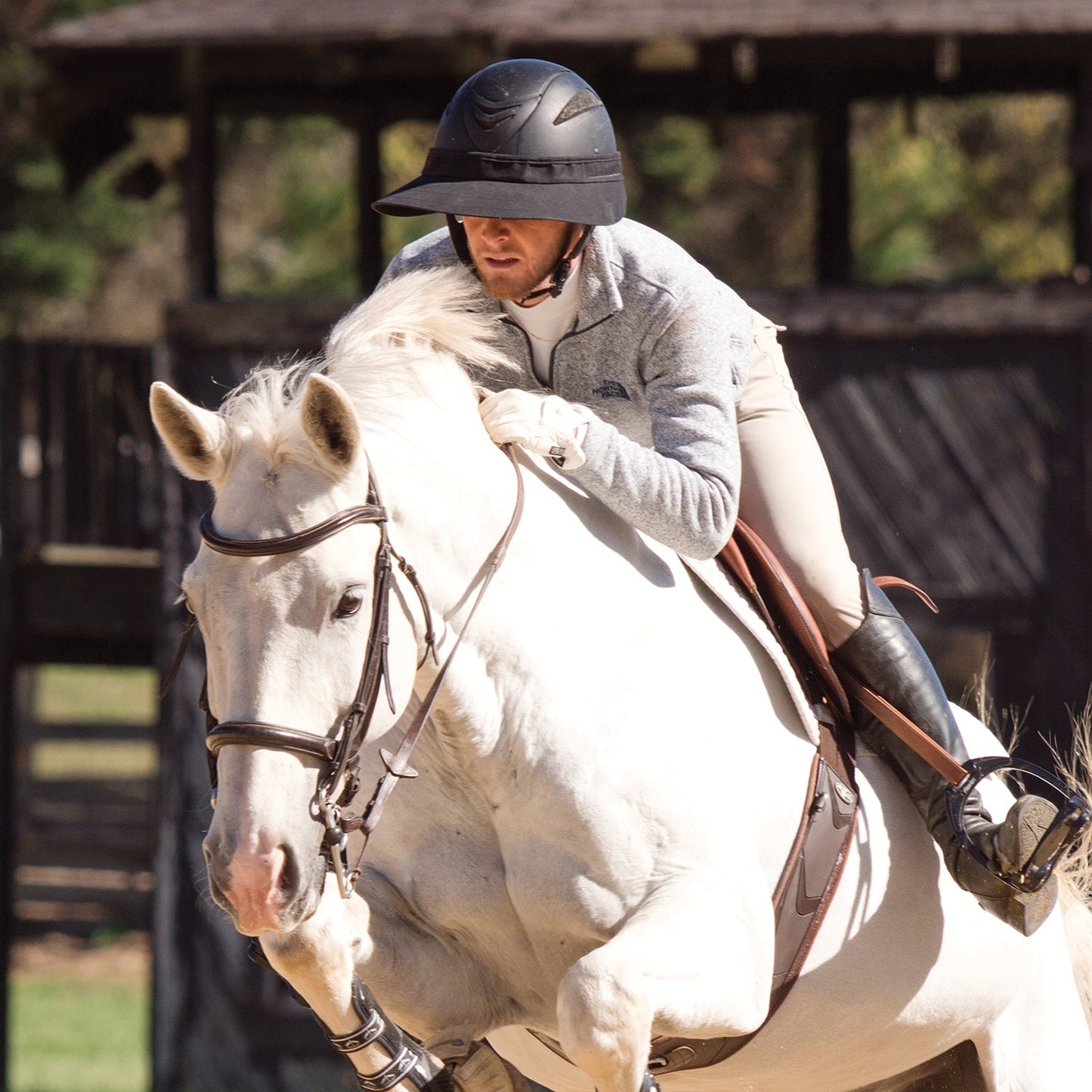EquiVisor Shorty