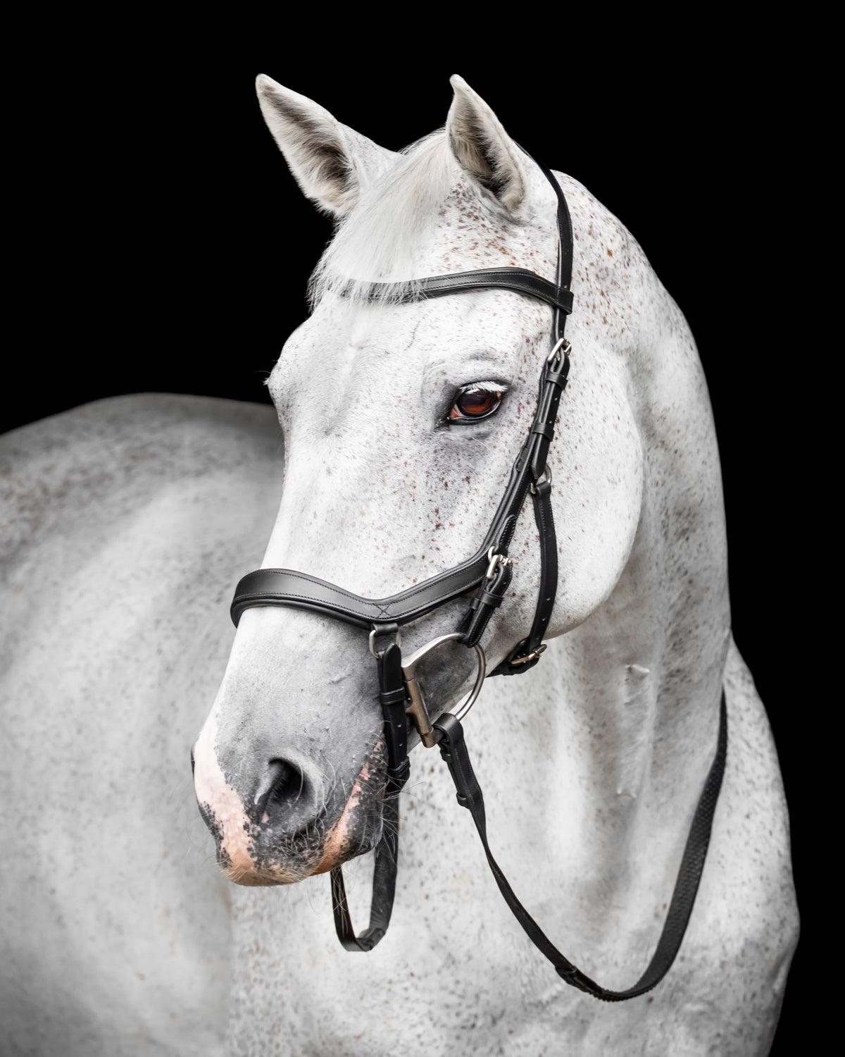 Horseware Micklem Competition Bridle