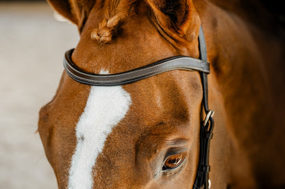 Horseware Micklem Competition Bridle