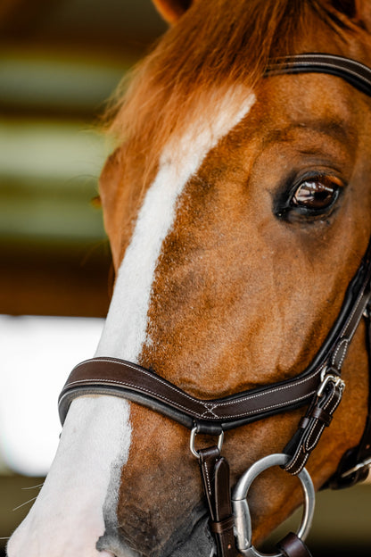 Horseware Micklem Competition Bridle