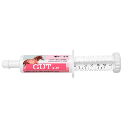 SmartEquine Gut Paste