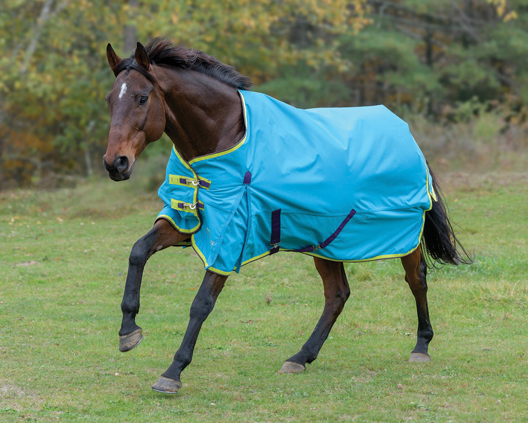 Shires Highlander 100G Blanket